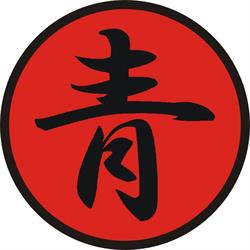 Ao Dojo - önvédelem aikido és karate alapokon