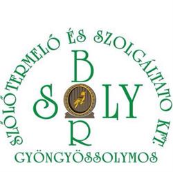 Solyborozó