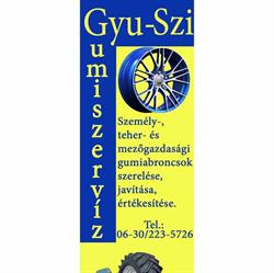 Gyu-Szi Gumiszerviz