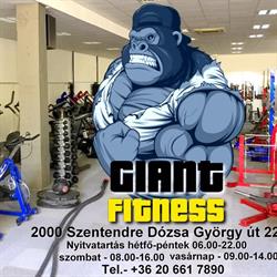 Giant Fitness Szentendre