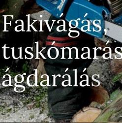 Tuskómarás