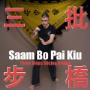 Saam Bo Pai Kiu New Thumb.jpg