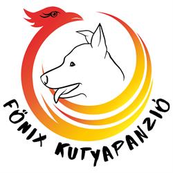 Főnix Kutyapanzió