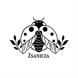 Zsanicza