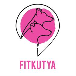 Fit Kutya - Kutya napközi és Kutya panzió, kutyakiképzés, tréner, agility
