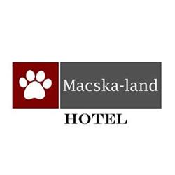 Macska-land Hotel, Cicapanzió