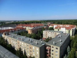 Kalmár közösképviselet