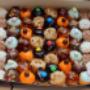 Mini donuts