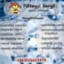 szolgáltatások