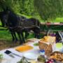 Gasztró piknik