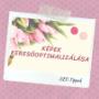 SEOlady Blog