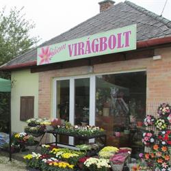 Albert Mihály - Liliom Virágbolt