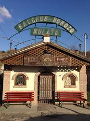 Bacchus Borozó
