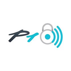 P1safe Biztonságtechnikai Kft.