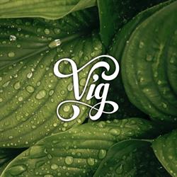 Víg Bistro