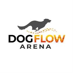 DogFlow Arena