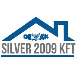 Silver 2009 Kft