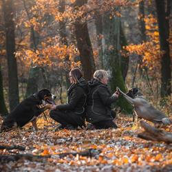 Dog Garden Sopron