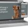 PUREBRED pápai vállalkozás weboldal készítés, honlapkészítés referencia