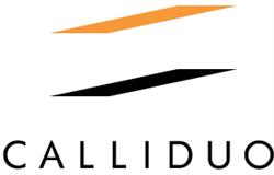 Calliduo 2002 Bt.
