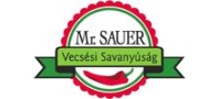 Logó mrsauer