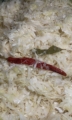 Savanyú Káposzta 500g