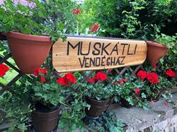 Vászolyi Muskátli Vendégház