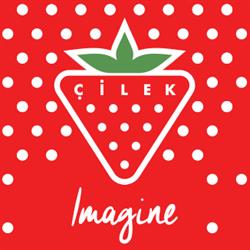 Cilek Magyarország