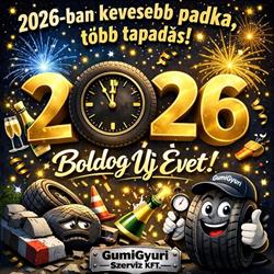 GumiGyuri Szervíz Kft.