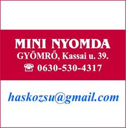 MINI Nyomda