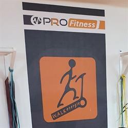 Pro Fitness