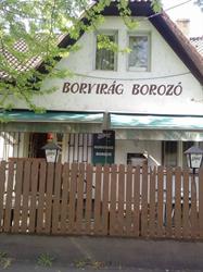Borvirág Borozó
