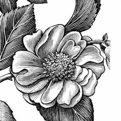 Schott Réka Floral Design