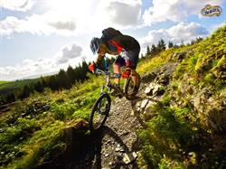 Stevens Kerékpár - Komárom -Rbike