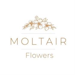 Moltair Flowers