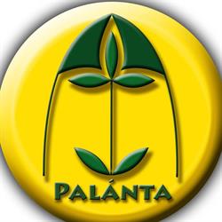 Palánta Gyermek- és Ifjúsági Misszió