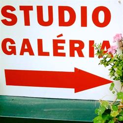 Zsimbi Gallery