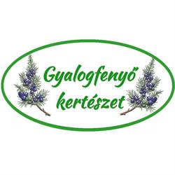 Gyalogfenyő kft.