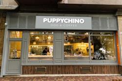 Puppychino