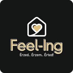 Feel-Ing Ingatlaniroda