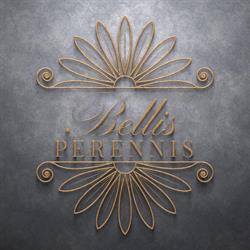Bellis Perennis beauty Kft.