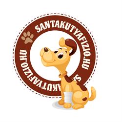 Sánta kutya fizioterápia