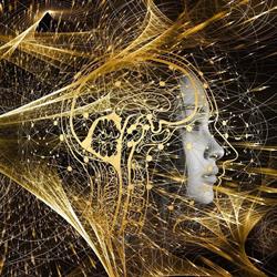 Neurofeedback Sopron