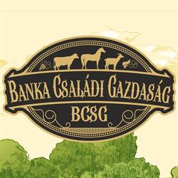 Bcsg - Banka Családi Gazdaság