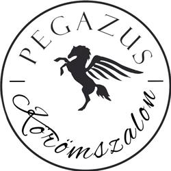 Pegazus Körömszalon
