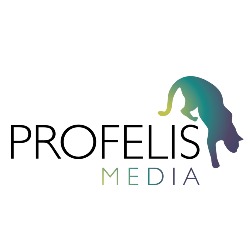 Profelis Marketing Ügynökség