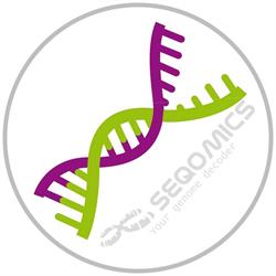 Seqomics Kft.