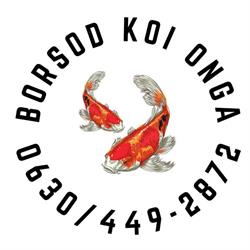Borsod koi