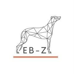 EB-Z Kisállat Rehabilitáció és Fizioterápia