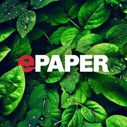 ePaper Kft